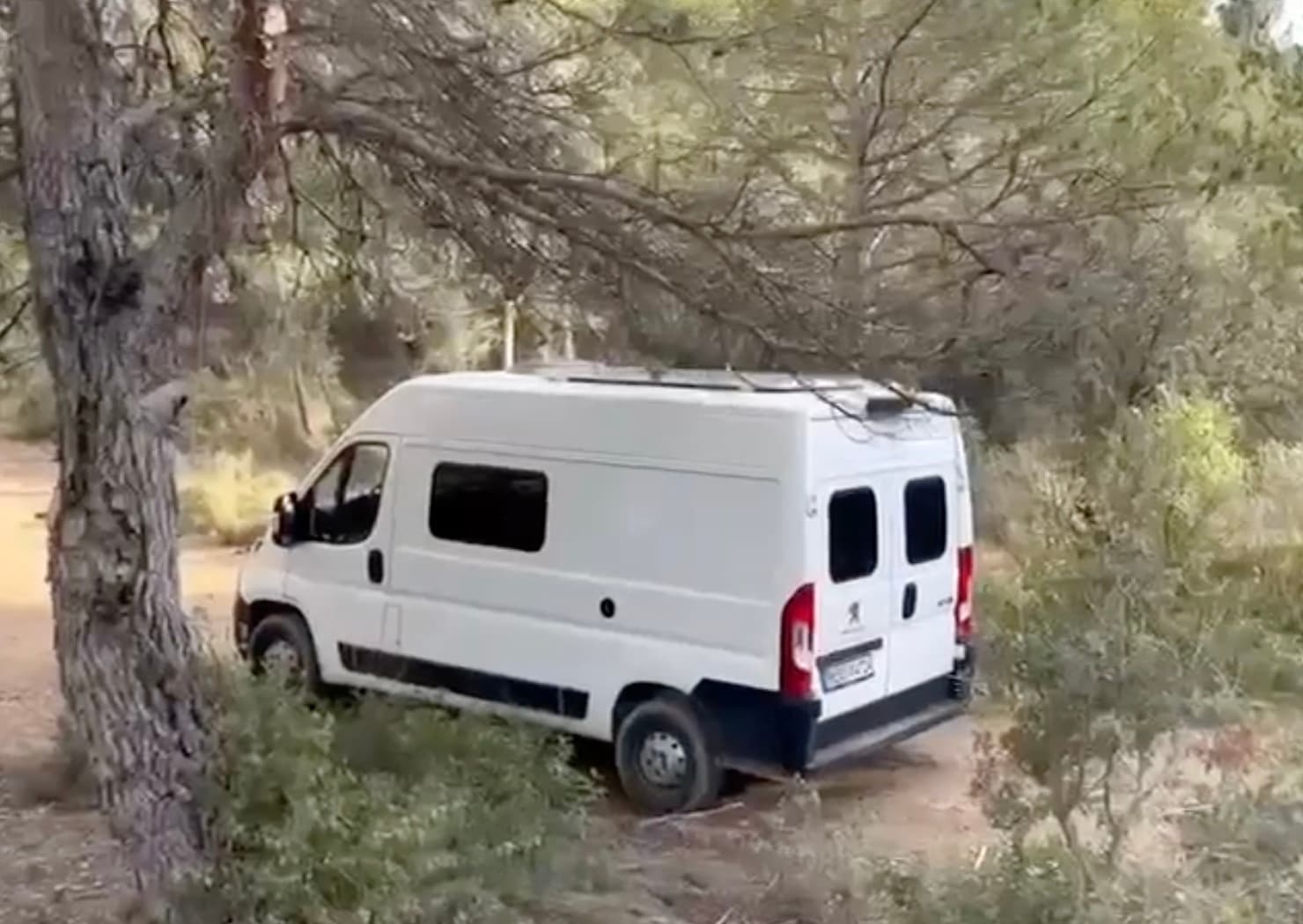 Video-Tour durch den Camper